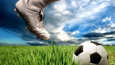 Foto: olly - Fotolia