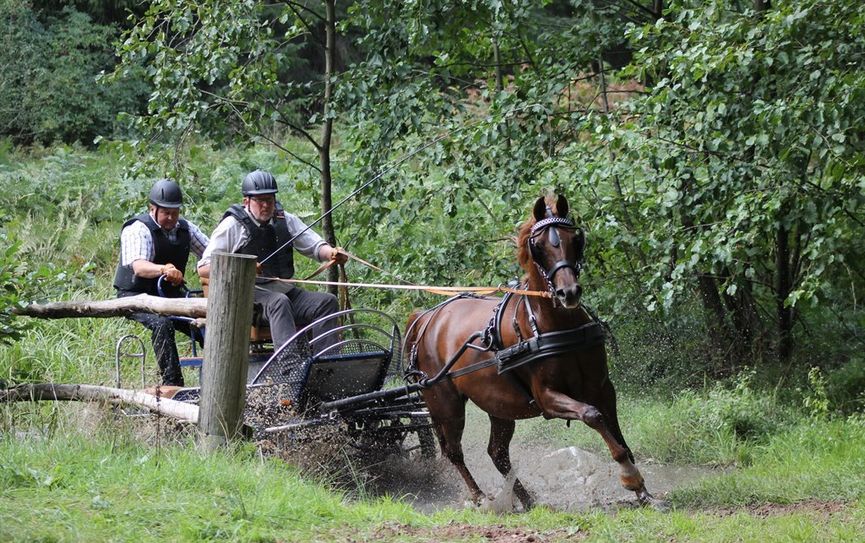 Die Teilnehmer müssen bei der Geländeprüfung einen anspruchsvollen Parcours meistern. Foto: eb