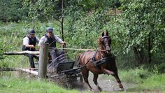 Die Teilnehmer müssen bei der Geländeprüfung einen anspruchsvollen Parcours meistern. Foto: eb