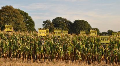 Der hell beleuchtete Eingang begrüßt die Besucher der Sandkuhlenfete. Fotos: uml