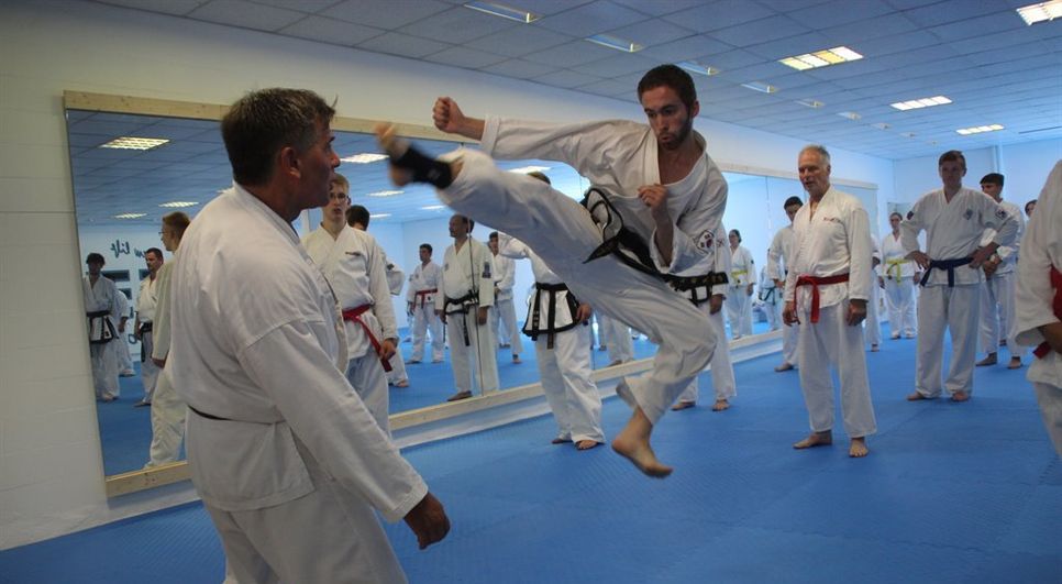 Taekwondo ist mehr als eine Kampftechnik. Sie macht einfach Spaß, stärkt das Selbstbewusstsein und fördert körperliche Fitness und Beweglichkeit.  Foto: im