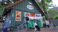Die sechs Melkhus-Damen aus dem Landkreis Rotenburg (Wümme) freuen sich noch auf viele Besucher bis zum Saisonende Anfang Oktober.  Foto: TouROW
