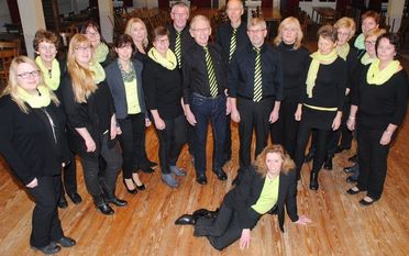 Der gemischte Chor der Alfster Heimatfrünn „ChoroNa“ trifft sich immer 14-tägig mittwochs zum gemeinsamen Singen. Foto: eb