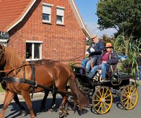 Mit bunt geschmückten Wagen geht es beim Ernteumzug durch Kuhstedt. Fotos: eb