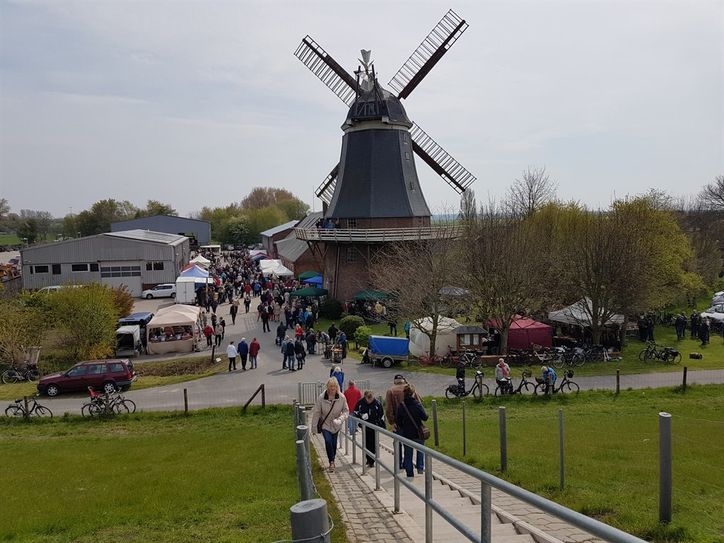 Der gesamte Erlös des Bauernmarktes wird zum Erhalt der Windmühle verwendet. Foto: eb
