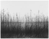 Danja Akulin: "Untitled", 2014, Bleistift auf Papier, auf Leinwand aufgezogen, 64 x 81 cm. Foto: M. Kolb