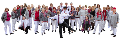 35 aktive Mitglieder im Alter von 20 bis 80 Jahren frönen den Chorgesang in den höchsten und tiefsten Tönen. Foto: im