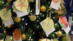 Weihnachten ist die Zeit der Nächstenliebe und des Schenkens. Wer möchte, kann Bedürftigen Kindern und Rentner/innen eine Weihnachtsüberraschung bereiten.  Foto: eb