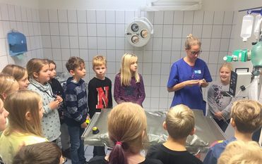 Einen spannenden Tag erlebten die Schüler in der Tierarztpraxis Seffner in Bremervörde. Foto: eb