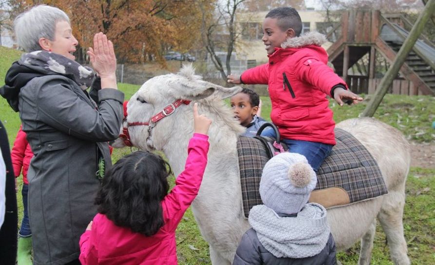 Das machte den Kleinen und den Großen Spaß. Der kuschelige Besuch in der Kita Ritterhuder Straße kam gut an und wer wollte, durfte sogar auch auf den Eseln reiten.  Foto: jm