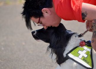 Einer der Rettungshunde der Staffel wird beim Training auf die Suche angesetzt. Foto: mf