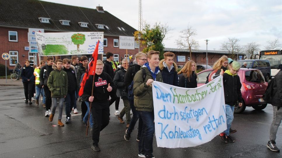 Etwa 200 Aktivisten zogen am Freitagmittag durch Bremervörde. Foto: uml
