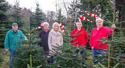 Passend zur Jahreszeit gibt es beim WIR-Gewinnspiel 13 Tannenbäume zu gewinnen. Foto: eb