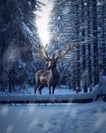 Foto: Adobe Stock