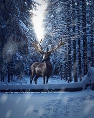 Foto: Adobe Stock