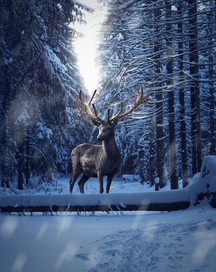 Foto: Adobe Stock
