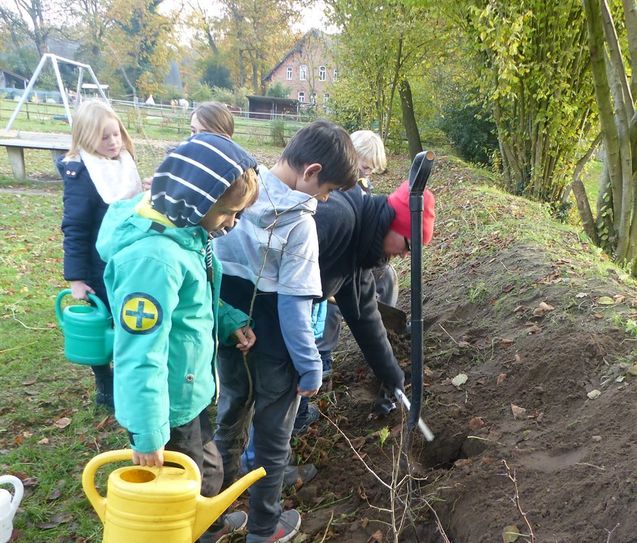 Auch in Zukunft möchte der Weidenhof Worpswede Sträucher und Heckenpflanzen verschenken.  Foto: eb