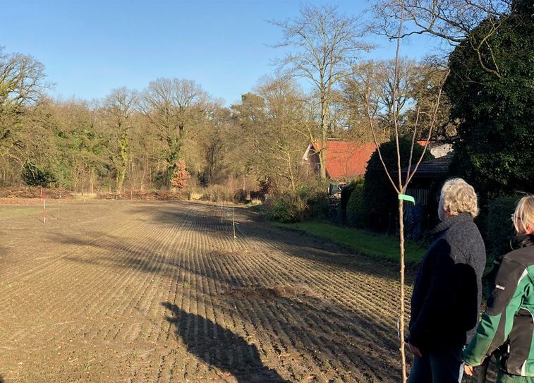 Firma Uphoff bei der Pflanzung der 40 Apfelbäume.
Foto: Kathrin Widhalm