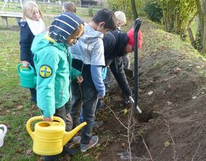 Die Schülerinnen und Schüler der Grundschule Worpswede halfen fleißig beim Einpflanzen und Angießen der 150 Jungpflanzen. Foto: eb