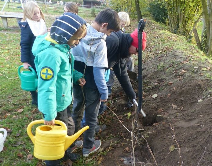 Die Schülerinnen und Schüler der Grundschule Worpswede halfen fleißig beim Einpflanzen und Angießen der 150 Jungpflanzen.  Foto: eb