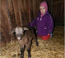 Streicheleinheiten sind ausdrücklich erwünscht im Tierpark Cux-Art.  Foto: eb
