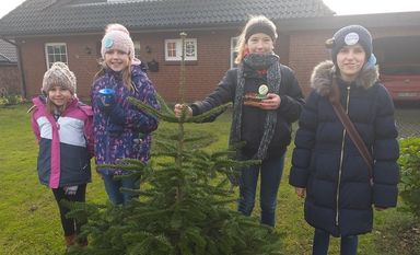 In kleinen Gruppen gingen die Kinder von Haus zu Haus und baten um eine Spende für die Kirchengemeinde in Lamstedt. Foto: dcl