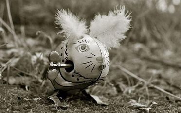 Annette Leenherr zeigt ihre Fotoausstellung „Fairy Tales“ in der Bibliothek Lilienthal. Foto: eb