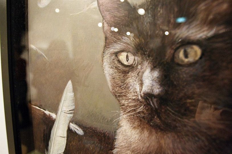 Eine traditionelle Jagdsituation von Katz und Beute, festgehalten in Acryl auf Leinwand in altmeisterlich anmutender Technik brachte Erik Hoffmann, Künstler aus Lilienthal, den Kulturpreis 2019 ein.  Foto: ek