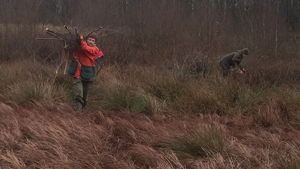 Für die Natur werden auch am Wochenende keine Mühen gescheut: Zwei Jungjäger befreien das Hochmoor bei Sandhausen von Büschen und kleinen Bäumen (Entkusselung).  Foto: eb