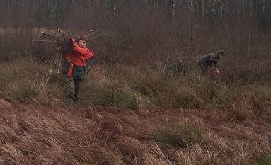 Für die Natur werden auch am Wochenende keine Mühen gescheut: Zwei Jungjäger befreien das Hochmoor bei Sandhausen von Büschen und kleinen Bäumen (Entkusselung).  Foto: eb