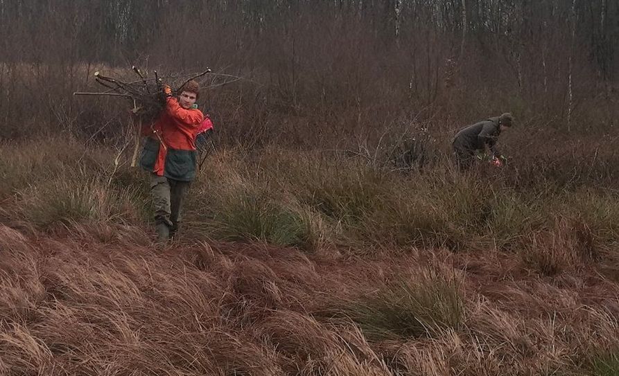 Für die Natur werden auch am Wochenende keine Mühen gescheut: Zwei Jungjäger befreien das Hochmoor bei Sandhausen von Büschen und kleinen Bäumen (Entkusselung). Foto: eb