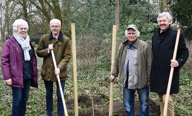 Mit Unterstützung von Brigitte Junker (l.) und Rolf Liebeneiner (2.v.r.) pflanzen Landrat Hermann Luttmann und Wolfgang Schiemann (r.) die neue Angerburger Eiche. Foto: eb