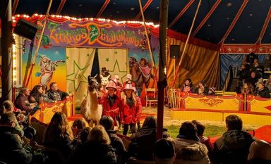 Eine Woche lang probten die Schüler, um dann in einer tollen Zirkusvorstellung ihr Können zu präsentieren. Foto: eb