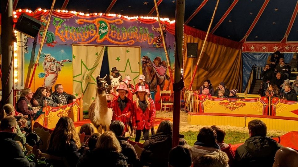 Eine Woche lang probten die Schüler, um dann in einer tollen Zirkusvorstellung ihr Können zu präsentieren. Foto: eb