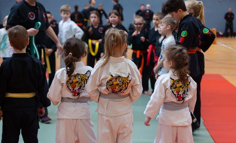 Entdecke den Tiger in Dir: beim „Budo-Sportler mit Herz 6.0“ - Event am 22. Februar, von 10 bis 17 Uhr in der Turnhalle der Berufsbildenden Schulen in OHZ.  Foto: eb