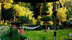 Der Garten der Familie Brunckhorst in Anderlingen öffnet am Sonntag, 15. März, seine Pforten.  Foto: Brunckhorst