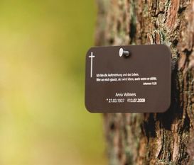 Eine Namenstafel macht im FriedWald auf die Grabstellen aufmerksam. (Foto: FriedWald GmbH)