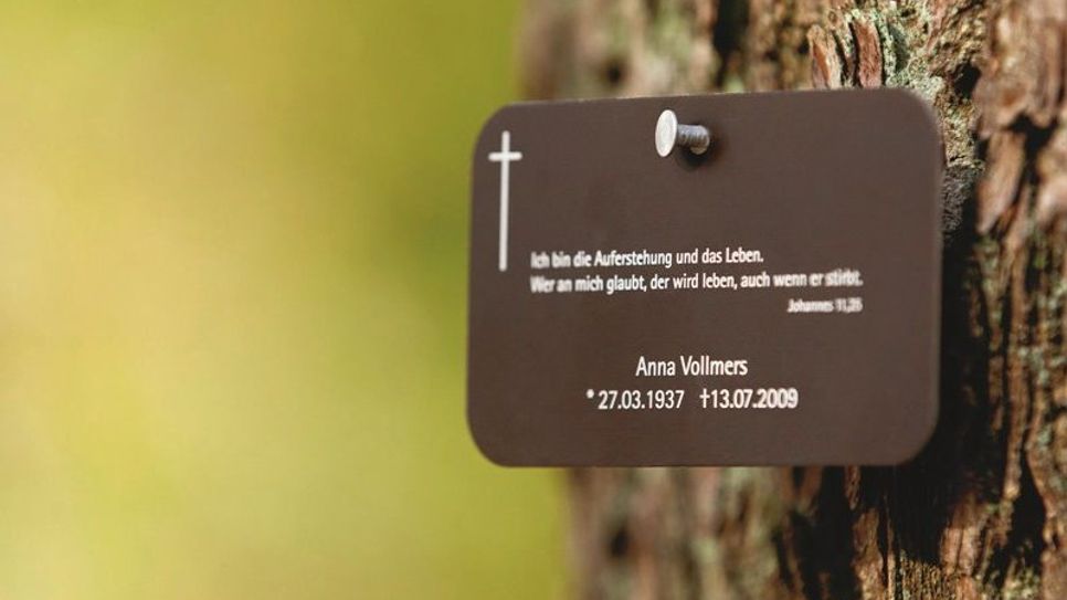 Eine Namenstafel macht im FriedWald auf die Grabstellen aufmerksam.  (Foto: FriedWald GmbH)