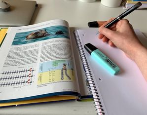 Es mag so scheinen, aber es sind keine Ferien. Die Schule ist zwar geschlossen, aber das Lernen geht weiter, selbstständig. Das ist gar nicht so einfach. Foto: an