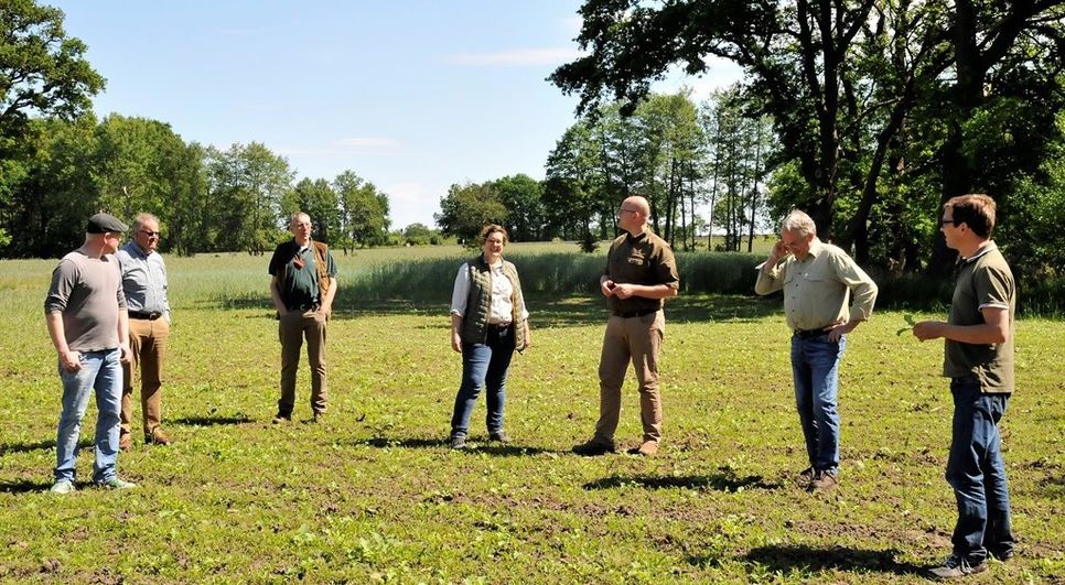 In der Gyhumer Feldmark hat der Landwirt Martin Grube (von links) eine spezielle Blühmischung für den Insektenschutz eingesät. Der Vorsitzende der Jägerschaft Bremervörde Arno Schröder, Kreisjägermeister Dr. Hermann Gerken, Vorsitzende der Jägerschaft Zeven Behlke Mohrmann, CDU-Landtagsabgeordneter Dr. Marco Mohrmann, Vorsitzender der Jägerschaft Rotenburg Ulrich Voss und Naturschutzobmann Mathias Holsten zeigten sich von der neu angelegten Blühfläche sehr angetan. Foto: Jägerschaft/Harms