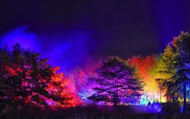 Außergewöhnliches Eventlicht ist im Park der Gärten während der Illumination - Spezial 2020 zu bestaunen. Foto: Hans-Jürgen Zietz