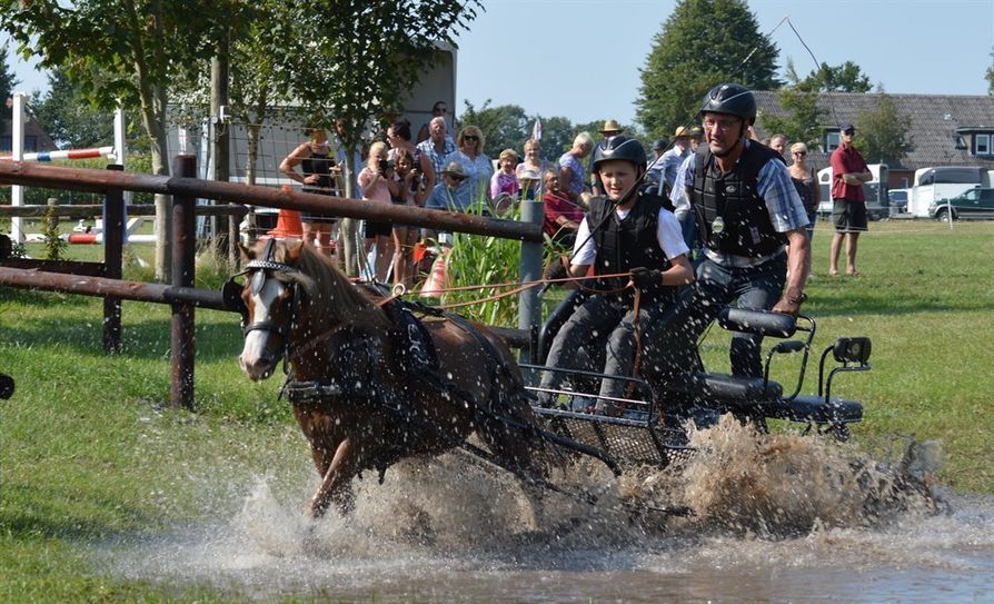 Hindernisfahren mit Wasserloch auf einer 3 Kilometer langen Geländestrecke ist eine der Wettkampfdisziplinen beim diesjährigen Fahrturnier des Reitvereins Kuhstedt am 30. August.   Foto: eb