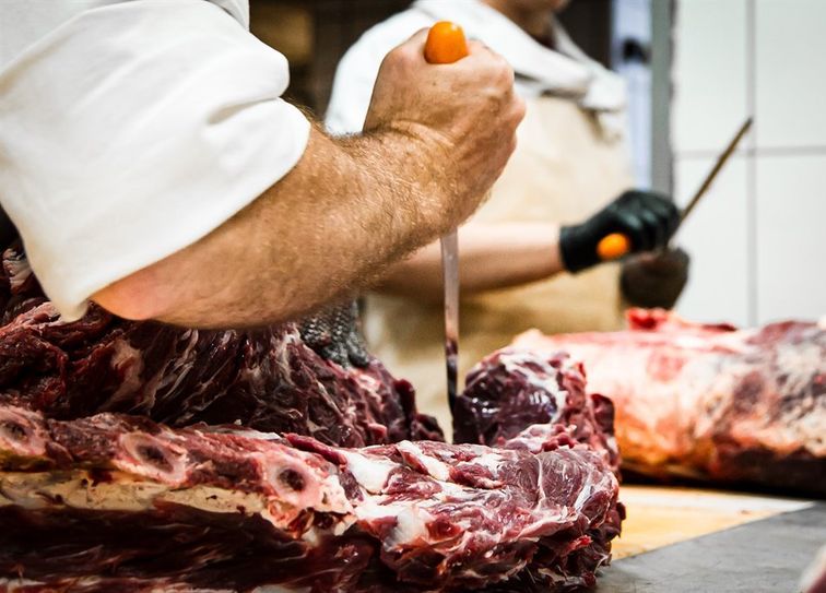 Wer in der Schlachtung, Zerlegung und Verarbeitung von Fleisch arbeitet, macht einen Knochenjob. Die Gewerkschaft NGG ruft Bundestagsabgeordnete aus der Region dazu auf, sich in Berlin gegen Missstände in der Branche einzusetzen. Foto: NGG