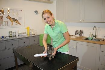 In ihren neuen Praxisräumen nimmt sich Dr. Sinje Treuel-Janz viel Zeit für jedes Tier und behandelt Hund, Katze und Co. ganzheitlich. Foto: rgp