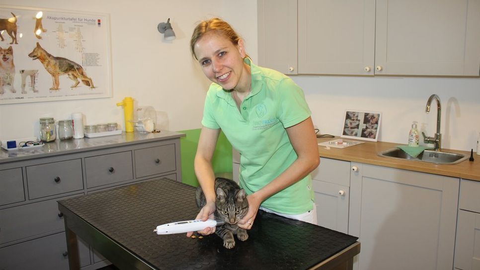 In ihren neuen Praxisräumen nimmt sich Dr. Sinje Treuel-Janz viel Zeit für jedes Tier und behandelt Hund, Katze und Co. ganzheitlich. Foto: rgp