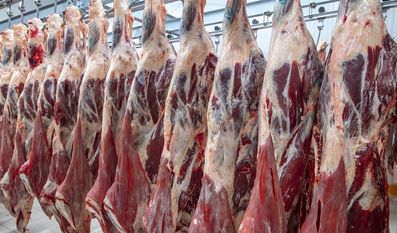 Laut dem Klimarechner des Umweltbundesamts ist in Deutschland jede Person im Schnitt für 11,61 Tonnen CO2 im Jahr verantwortlich, 1,74 Tonnen davon entfallen auf die Ernährung. Foto: adobestock/mehmet