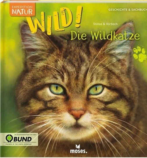Eine Katzenmama und ein Steinkauzpapa erleben bunte Abenteuer. Foto: eb