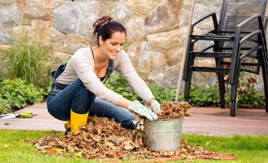 Abgefallene Blätter von Bäumen sollten vor dem Winter entsorgt werden, um dem Rasen genug Luft zu lassen. Foto: djd/EUROGREEN/CandyBox Images - stock.adobe.com