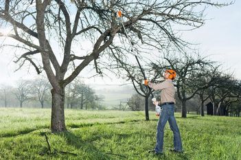 Viel hilft viel: Ein kräftiger Rückschnitt der Obstbäume schafft die Voraussetzung für frisches Wachstum und gute Ernte in der neuen Saison. Foto: djd/STIHL