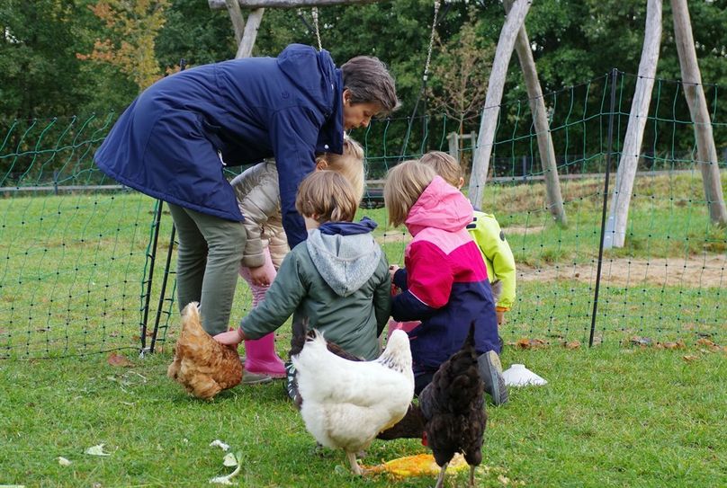 Die Kinder und Hühnermutter Claudia Böhme zeigen vollen Einsatz bei der Pflege der Legehennen. Foto: eb